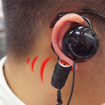 視聴覚コンテンツ鑑賞における情動の増幅に関する研究