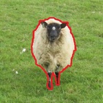 入力色分布の信頼度を考慮した前景背景同時マッチングによる画像セグメンテーション