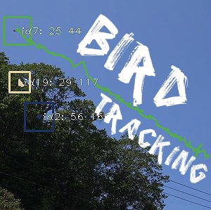 動画像処理を用いた野鳥生態調査に関する基礎検討