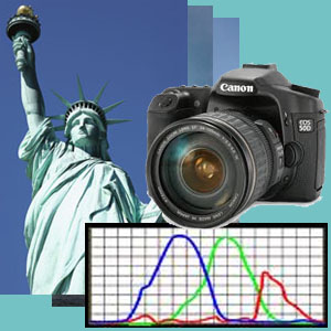 屋外物理ベーストコンピュータビジョン