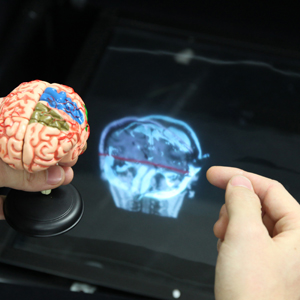 Mid-air Plus: A 2.5D Cross-sectional Mid-air Display with Transparancy Control