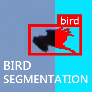 深層特徴検出器と意味領域分割の組み合わせによる解像度に適応的な物体検出