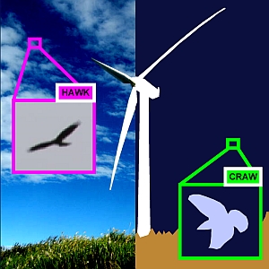 鳥プロジェクトの紹介―深層学習による動物体の検出と識別―