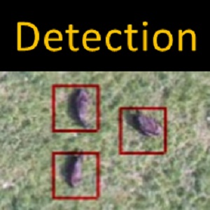 畜産業支援に向けた空撮画像からの牛の検出と個体数の推定