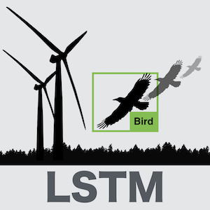 Aggregating Appearance and Motion Information using Long Short-term Memory Networks for Bird Detection