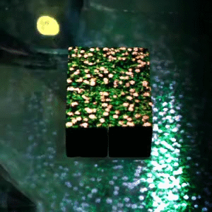 テーブル型対面環境における複数の直立空中像の移動制御