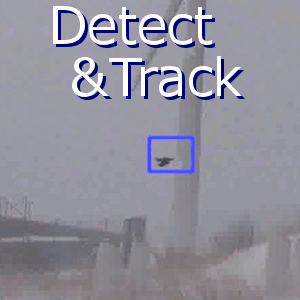 動き表現の深層学習に基づく動物体の検出と追跡