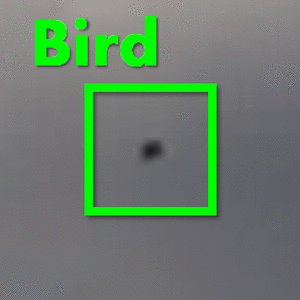 認識における頑健性の向上