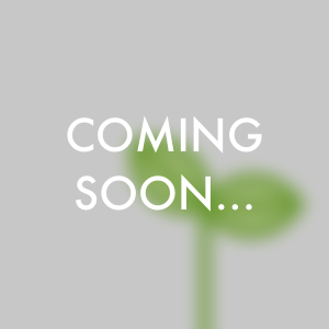 てんかん診断に向けた神経細胞画像におけるγアミノ酪酸受容体の異常運動の検出