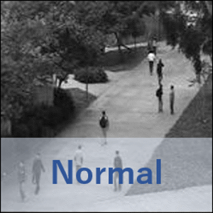 映像からの異常検知：フレームレベルと物体レベルの統合的学習