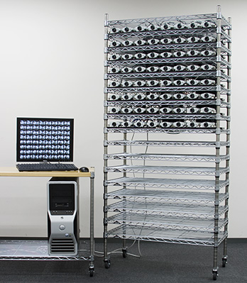 Our camera array system